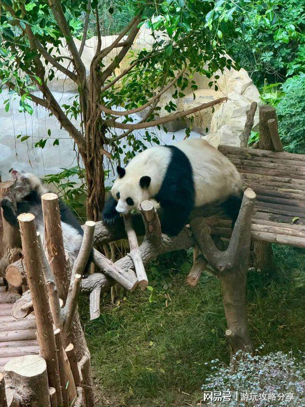 荐 四川适合几月份去旅游景点 玩转精华！j9九游会真人游戏第一成都的著名景点推(图6)
